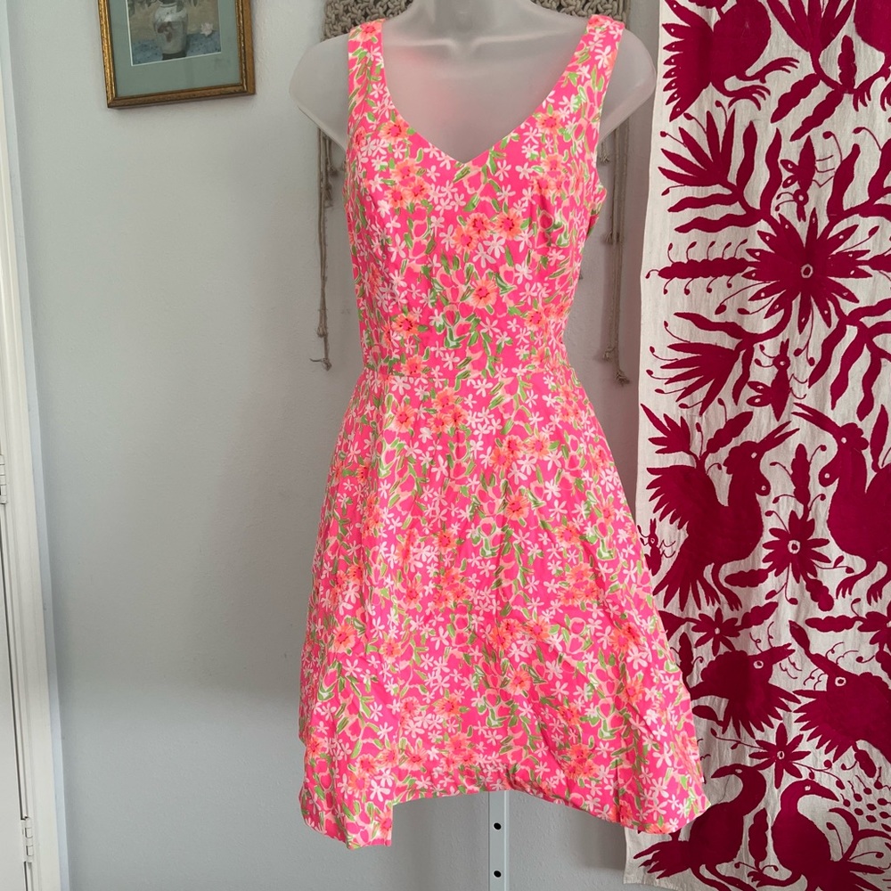FIESTA PINK EVERYTHING NICE FREJA DRESS SZ 6